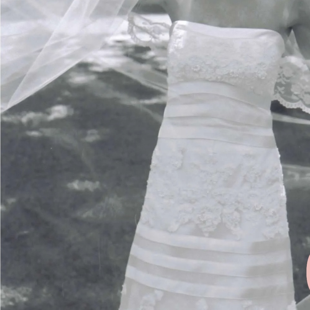 Priscilla of Boston White Lace Wedding Gown
